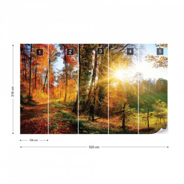 Sunrise In Autumn Forest Photo Wallpaper Wall Mural - Img 19
