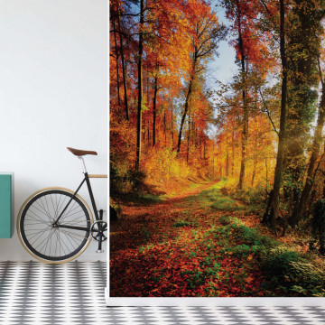 Sunrise In Autumn Forest Photo Wallpaper Wall Mural - Img 21