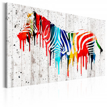 Tablou - Colourful Zebra - Img 1