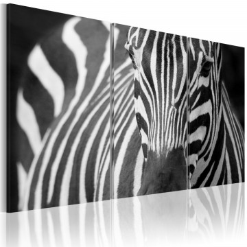 Tablou - Mrs. Zebra - Img 1