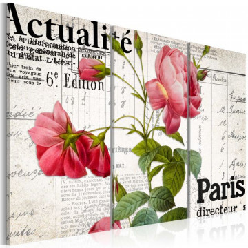 Tablou - Paris directeur - Img 1