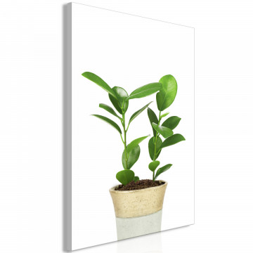 Tablou - Plant In Pot (1 Part) Vertical - Img 1