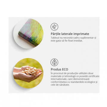 Tablou - Spain: text map in colors of national flag - Img 3