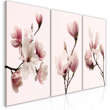 Tablou - Spring Magnolias (3 Parts) - Img 1