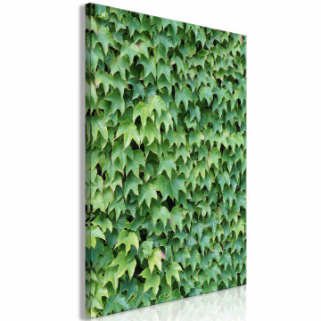 Tablou - Thick Ivy (1 Part) Vertical - Img 2