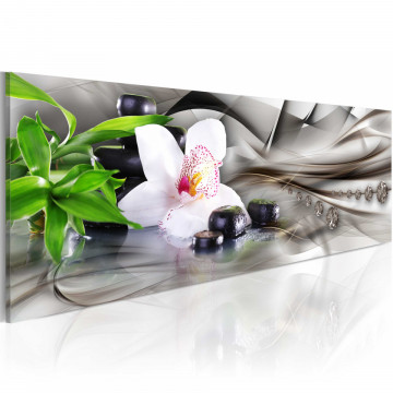 Tablou - Zen composition: bamboo, orchid and stones - Img 1