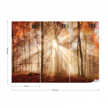 Autumn Trees Forest Sunshine Photo Wallpaper Wall Mural - Img 12