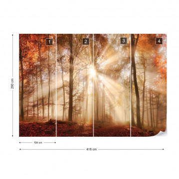 Autumn Trees Forest Sunshine Photo Wallpaper Wall Mural - Img 4