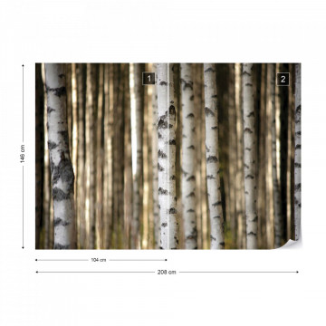 Birch Trees In The Forest Photo Wallpaper Wall Mural - Img 11