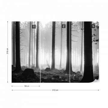 Black And White Atmospheric Forest Photo Wallpaper Wall Mural - Img 12