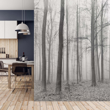 Black And White Misty Forest Photo Wallpaper Wall Mural - Img 19