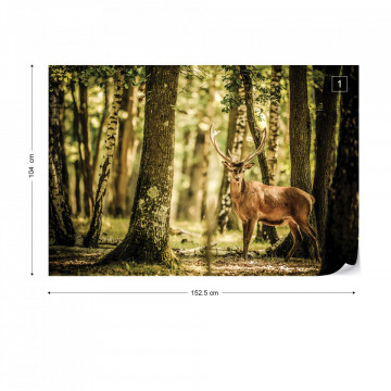Deer In The Forest Nature Photo Wallpaper Wall Mural - Img 10