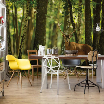 Deer In The Forest Nature Photo Wallpaper Wall Mural - Img 2