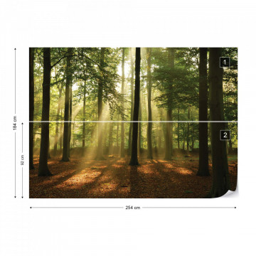 Enchanted Forest Photo Wallpaper Wall Mural - Img 5