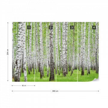 Forest Birch Trees Woods Photo Wallpaper Wall Mural - Img 7