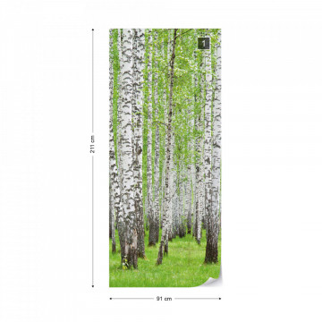 Forest Birch Trees Woods Photo Wallpaper Wall Mural - Img 13