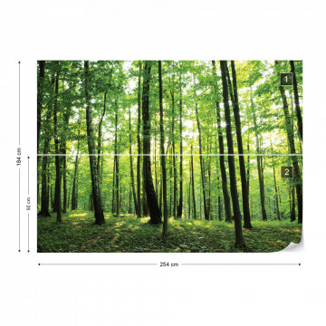 Forest Trees Green Nature Photo Wallpaper Wall Mural - Img 5