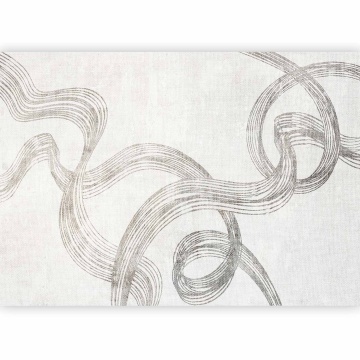 Fototapet - Abstraction - ribbons of grey - Img 8