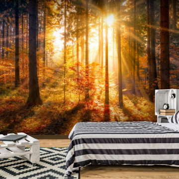 Fototapet autoadeziv - Autumn Awakening - Img 1
