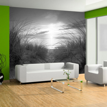 Fototapet - beach (black and white) - Img 1