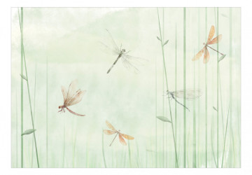 Fototapet - Dragonflies in the Meadow - Img 2