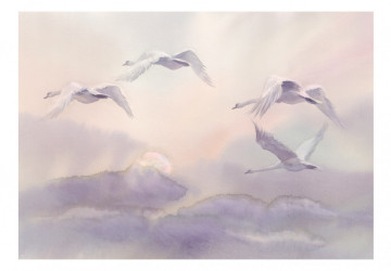 Fototapet - Flying Swans - Img 2