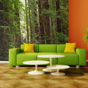 Fototapet - Green forest - Img 1