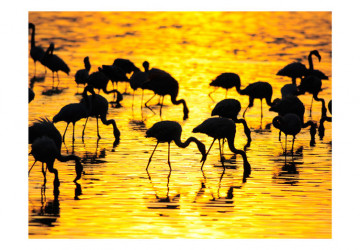 Fototapet - Kenya: flamingos by the lake Nakuru - Img 2