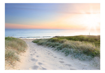 Fototapet - Morning walk on the beach - Img 2