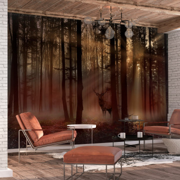 Fototapet - Mystical Forest - First Variant - Img 1