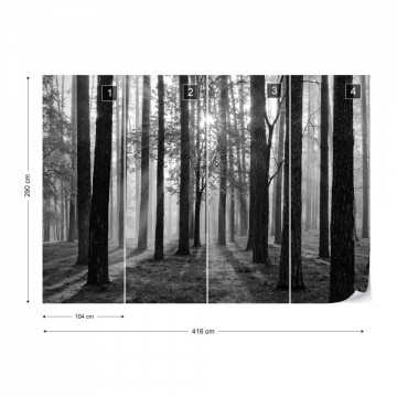 Fototapet - Răsărit de Soare în Pădure – Alb-Negru - Img 17