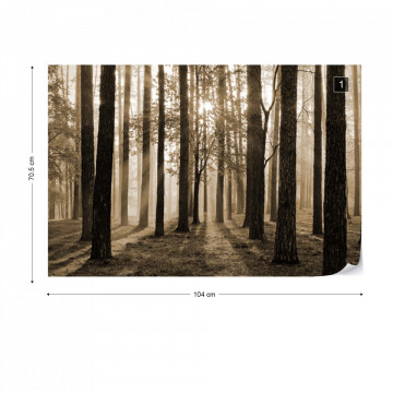 Fototapet - Răsărit de Soare în Pădure – Sepia - Img 1