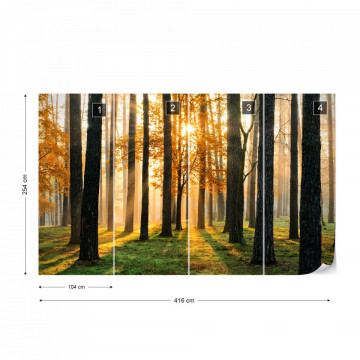 Fototapet - Răsărit de Soare în Pădure - Img 16