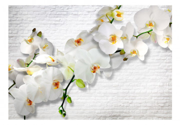 Fototapet - The Urban Orchid - Img 2