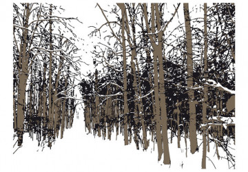Fototapet - trees - autumn - Img 2