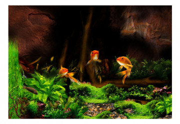 Fototapet - Underwater frolic - Img 4