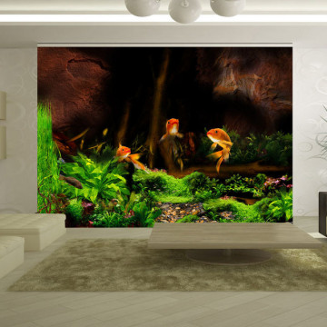 Fototapet - Underwater frolic - Img 1