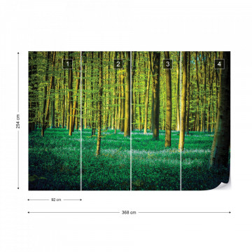 Green Forest Trees Photo Wallpaper Wall Mural - Img 10
