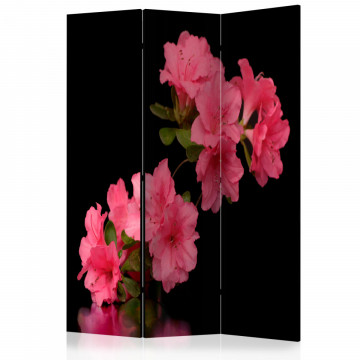 Paravan - Azalea in Black [Room Dividers] - Img 1