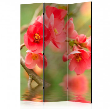 Paravan - Azalea reflected in the water [Room Dividers] - Img 1