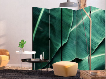 Paravan - Banana Leaf II [Room Dividers] - Img 2