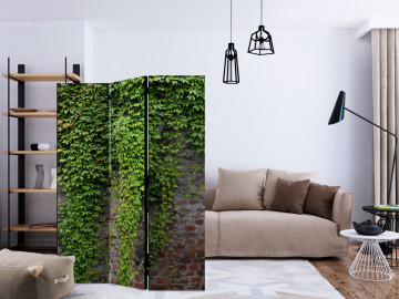 Paravan - Brick and ivy [Room Dividers] - Img 2