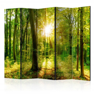 Paravan - Forest Rays II [Room Dividers] - Img 1