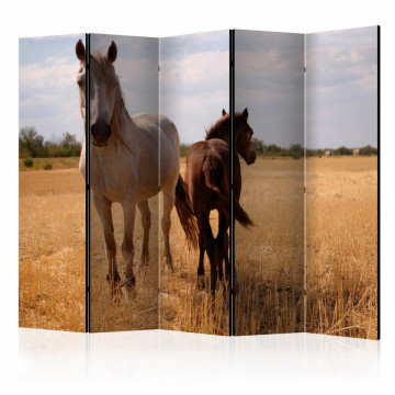 Paravan - Horse and foal II [Room Dividers] - Img 1