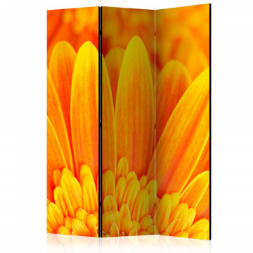 Paravan - Yellow gerbera daisies [Room Dividers] - Img 1