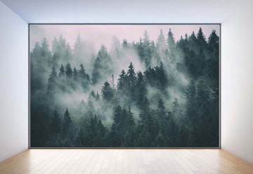 Penthouse View Misty Forests - Img 2