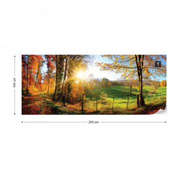Sunrise In Autumn Forest Photo Wallpaper Wall Mural - Img 14