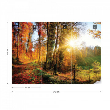 Sunrise In Autumn Forest Photo Wallpaper Wall Mural - Img 16