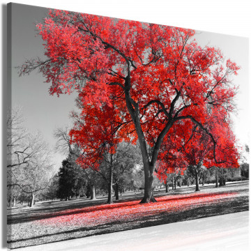 Tablou - Autumn in the Park (1 Part) Wide Red - Img 1