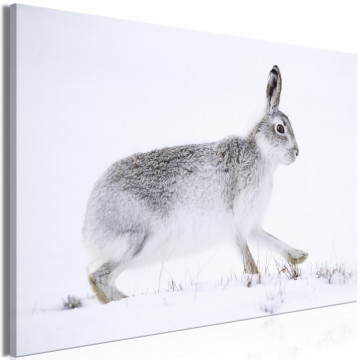 Tablou - Hare (1 Part) Wide - Img 2